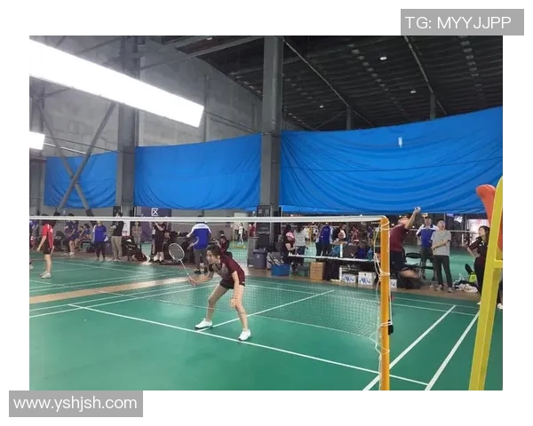 上海羽毛球队在世锦赛积分榜上以68分稳居第一名展现强劲实力